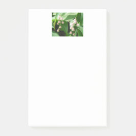 Bloco De Notas "Lily rosa do Vale!