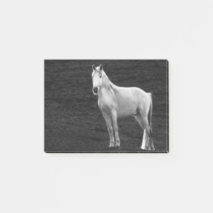 Bloco De Notas LIN10BW o Stance.tif