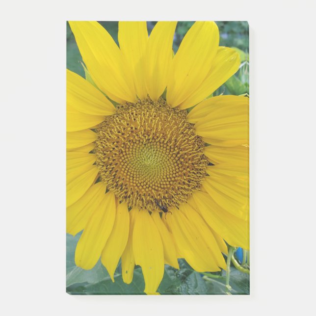 Bloco De Notas Linda Flor (Frente)