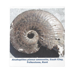 Bloco De Notas Linda pirita, fóssil de amonite mostrando suturas