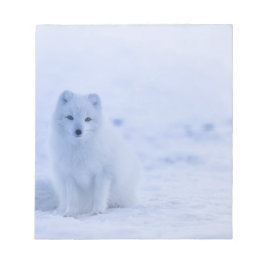 Bloco De Notas Linda Raposa Ártica