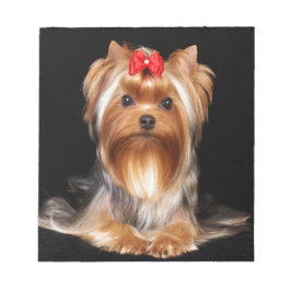 Bloco De Notas Lindo Yorkshire Terrier