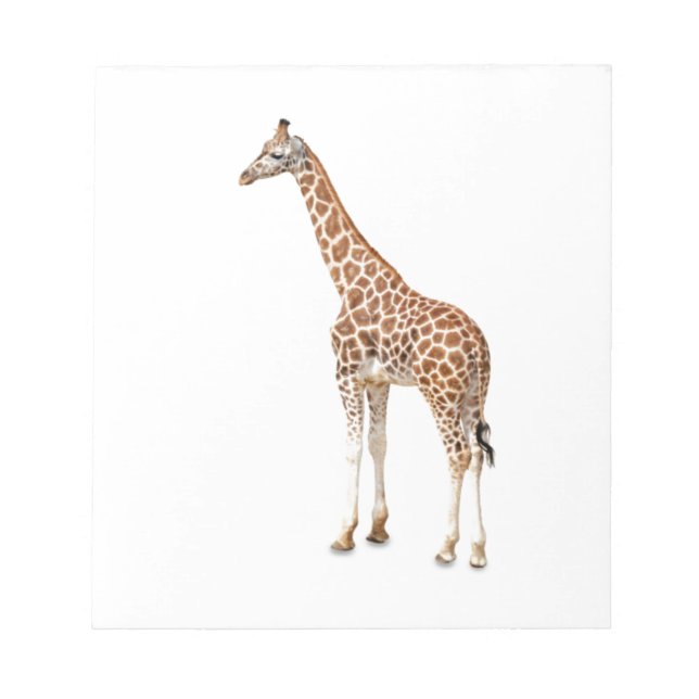 Bloco De Notas Long Neck Giraffe (Frente)