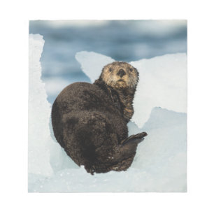 Bloco De Notas Lontra do mar em repouso