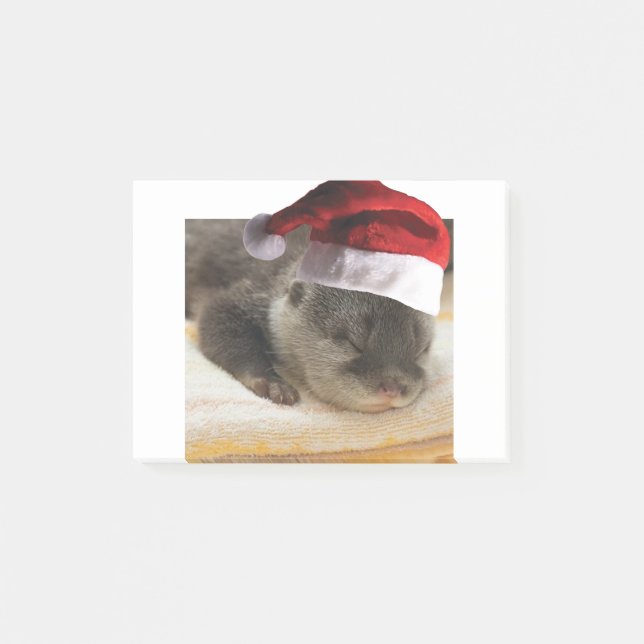 Bloco De Notas Lontra-Dormindo (Frente)