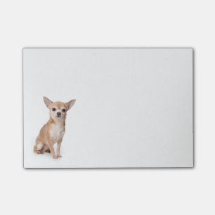 Bloco De Notas Love Chihuahua Puppy Dog Posta IT Sticky Notes