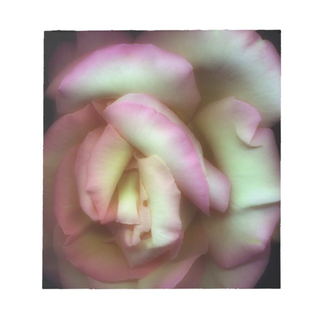 Bloco De Notas <Love is a Rose>por Nathan Griffith (Frente)