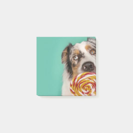Bloco De Notas Lustiger Australian Shepherd Hund mit Lolli