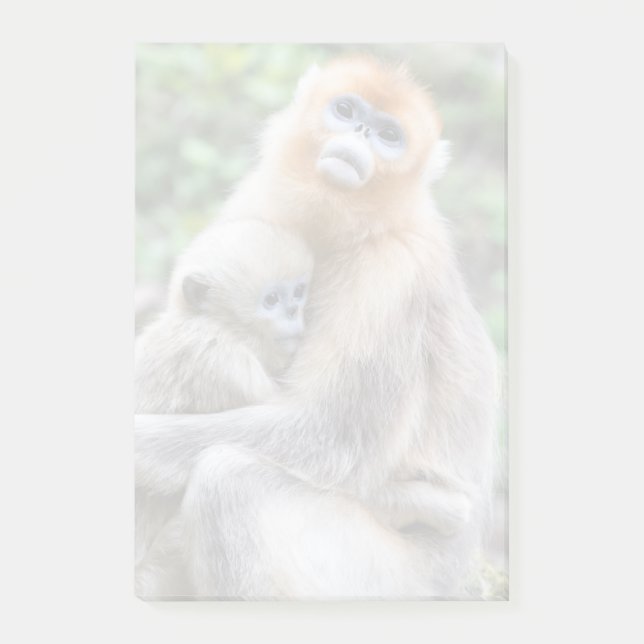 Bloco De Notas Macaco Dourado de Nariz Arrebitado com Bebê (Frente)