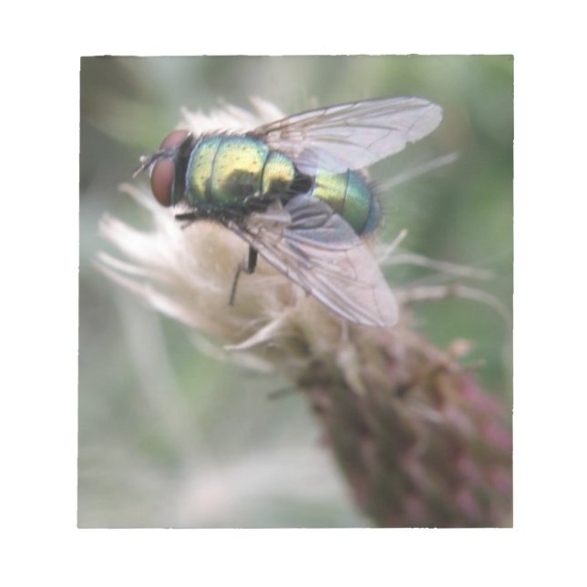 Bloco De Notas Macro Notepad de Mosca Verde (Frente)