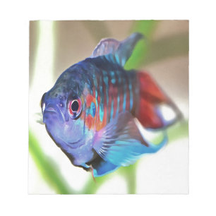 Bloco De Notas Macropodus Opercularis Peixes de Aquário