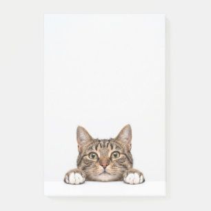 Bloco De Notas mãe de gato