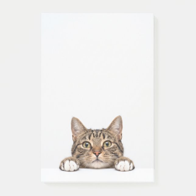 Bloco De Notas mãe de gato (Frente)