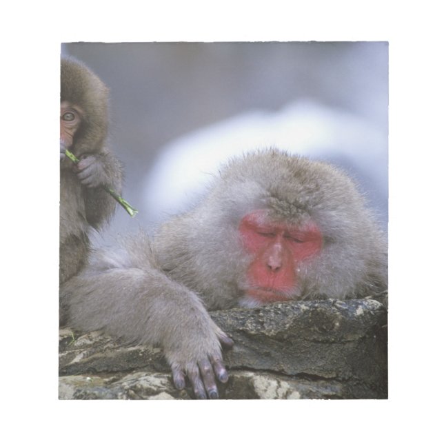 Bloco De Notas Mãe e filhote de Macaco da Neve, Jigokudani, Nagan (Frente)