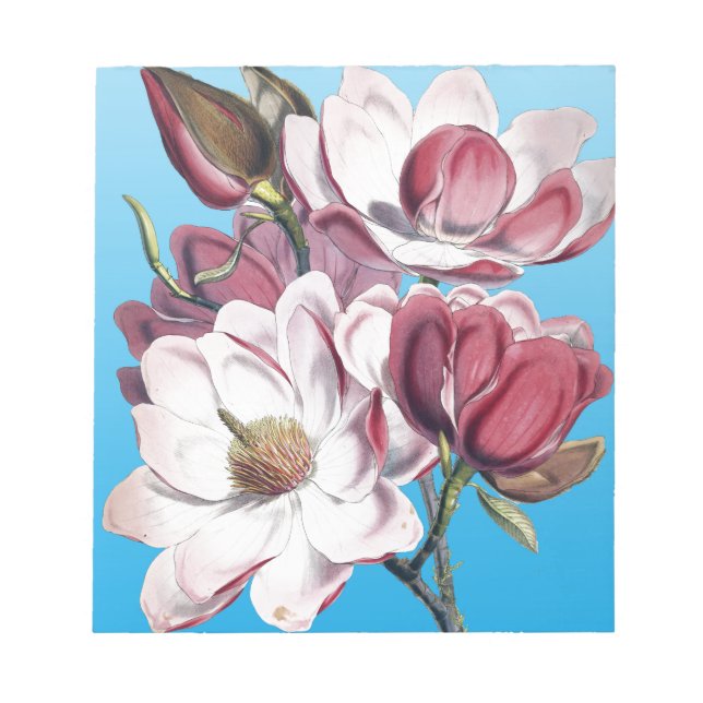 Bloco De Notas Magnolia em Azul (Frente)