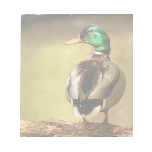Bloco De Notas Mallard Duck (Frente)