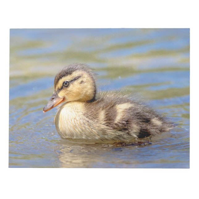 Bloco De Notas Mallard Duckling (Frente)