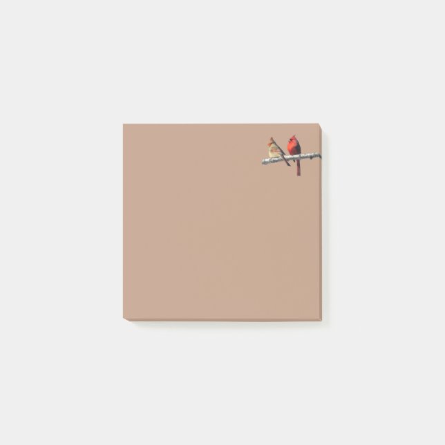 Bloco De Notas Maravilhas silenciosas postam as notas dos Cardeal (Frente)