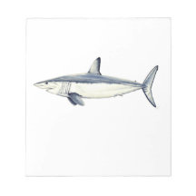 Marrajo - Isurus oxyrinchus