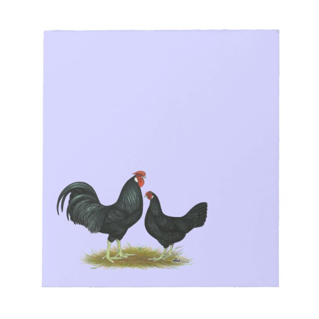 Bloco De Notas Marsh Daisy Chickens (Frente)
