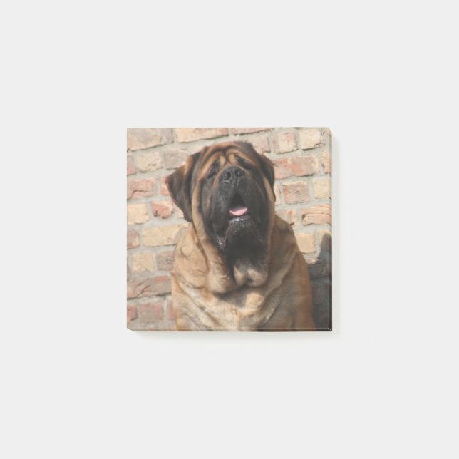 Bloco De Notas Mastiff englische Dogge (Frente)