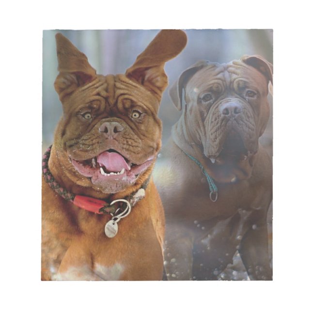 Bloco De Notas Mastiff Plus (Frente)