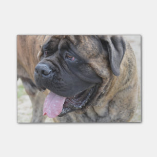 Bloco De Notas Mastiff rajado