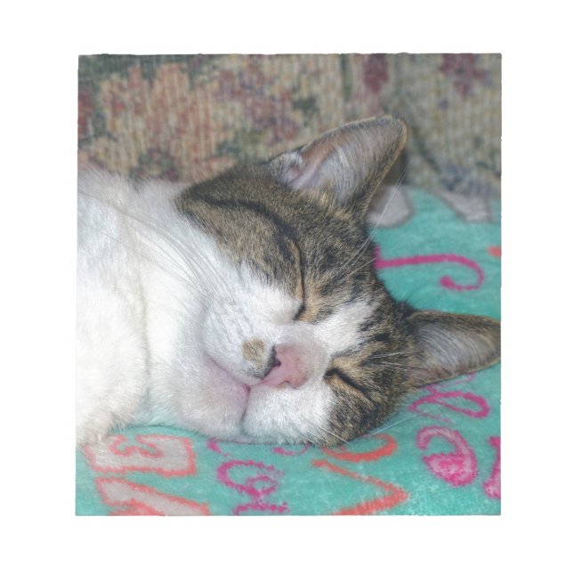 Bloco De Notas Mel Dormindo (Frente)