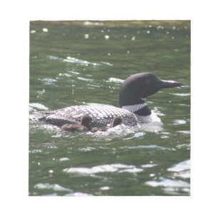 Bloco De Notas Mergulhão-do-norte com bebês 2