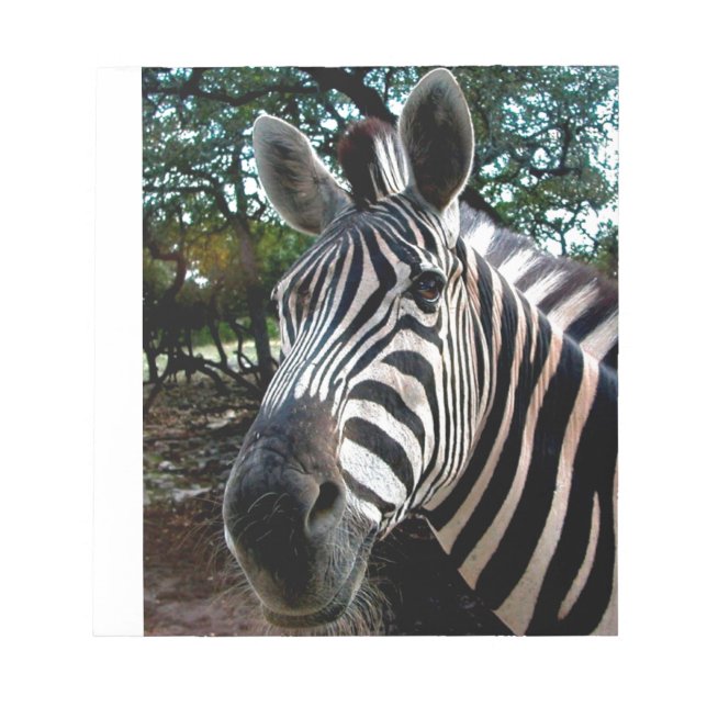 Bloco De Notas Meu Amigo De Disquete (Frente)