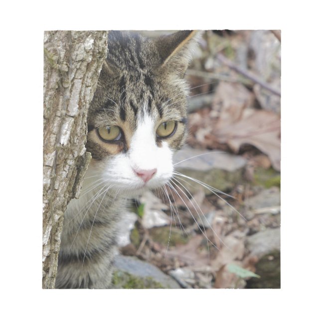 Bloco De Notas Meu Gato De Caça (Frente)