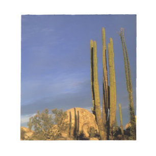 Bloco De Notas México, Baja del Norte, Parque Nacional Desierto d