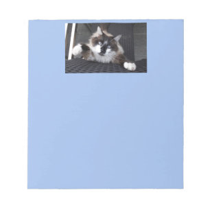Bloco De Notas Miau! -