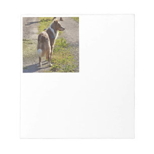 Bloco De Notas Miniature American Shepherd Vermelho Merle com Cau