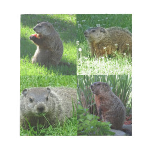 Bloco De Notas Mistura de Groundhog
