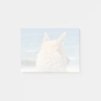 Mistura De Raça Cão Areia E Surf