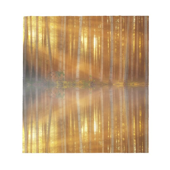 Bloco De Notas Misty Forest Scene (Frente)