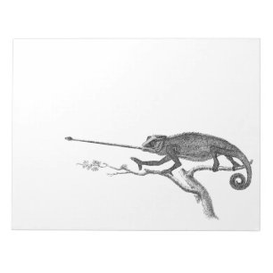 Bloco De Notas Modelo da ilustração do camaleão do lagarto do