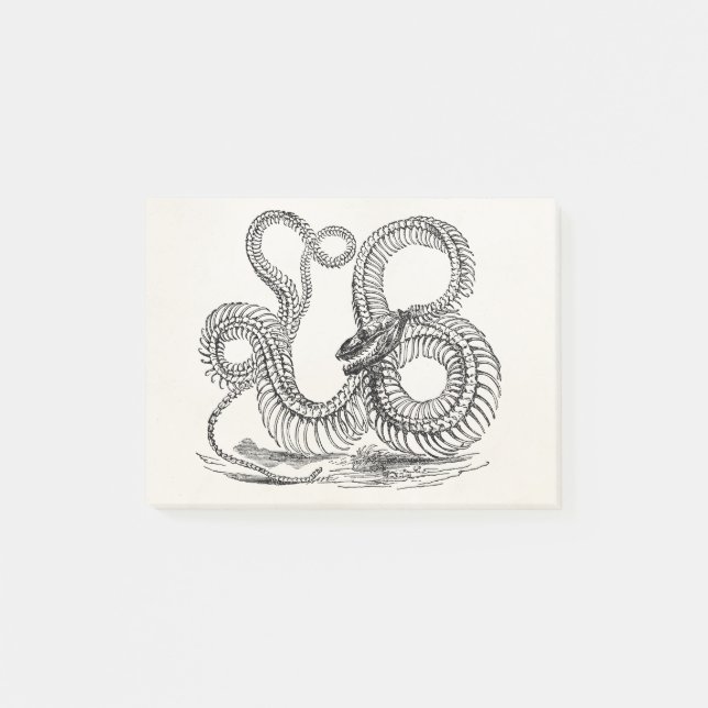 Bloco De Notas Modelo personalizado esqueleto do cobra da boa do (Frente)