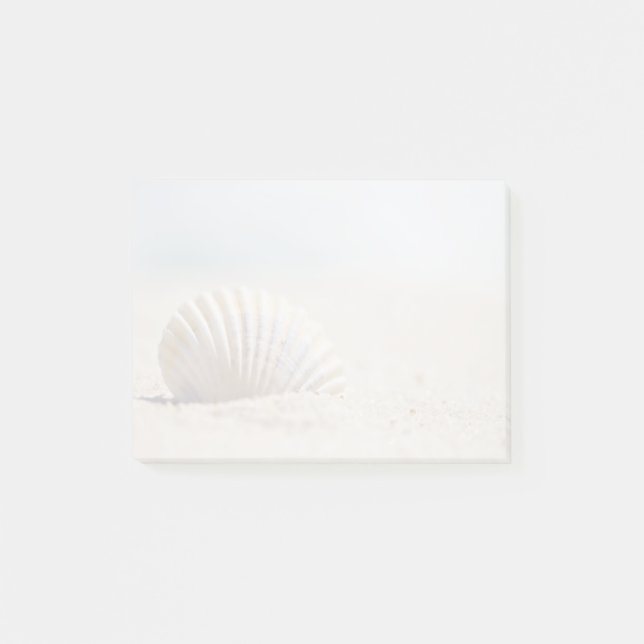 Bloco De Notas Moluscos Seashell (Frente)