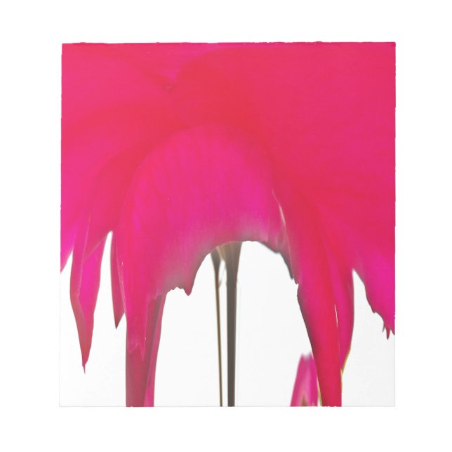 Bloco De Notas Momento Capturado: Uma Elegância Petal Rosa vermel (Frente)