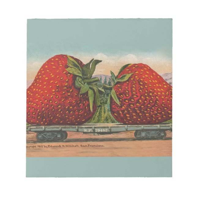 Bloco De Notas Morangos Gigante Antigo Fruta Diversão (Frente)
