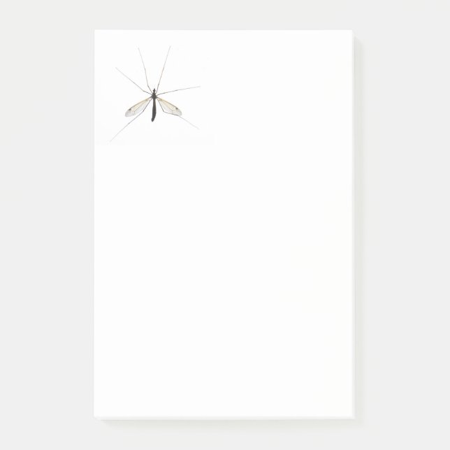 Bloco De Notas Mosquito (Frente)