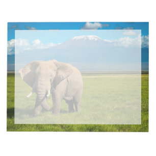 Bloco De Notas Mountains Mount Kilimanjaro Tanzania, Africa