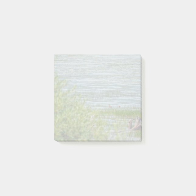 Bloco De Notas Movimento Delicado (Frente)