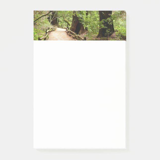 Bloco De Notas Muir Woods Path II - Fotografia natural (Frente)