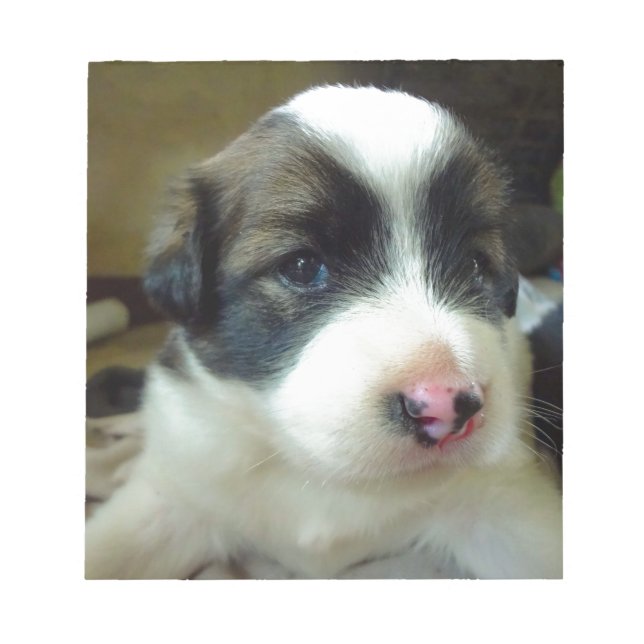 Bloco De Notas Muito Jovem Cachorro Parecido Bonito (Frente)