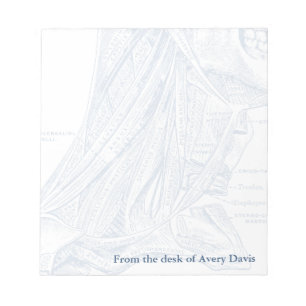 Bloco De Notas Músculos de Desenho Médico do Azul do Pescoço