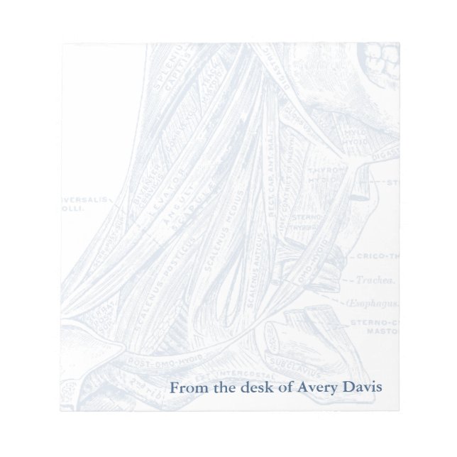 Bloco De Notas Músculos de Desenho Médico do Azul do Pescoço (Frente)