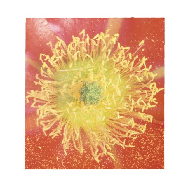 Bloco De Notas N.A., EUA, Arizona, Casa Grande, NM, Deserto (Frente)